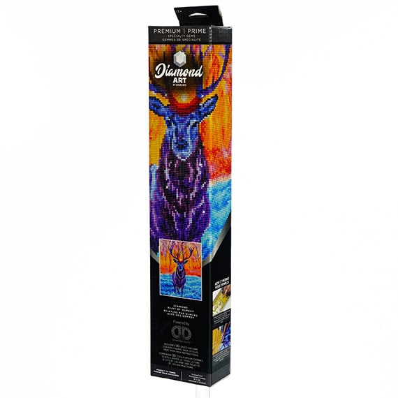 Diamond Art Kit 16X20