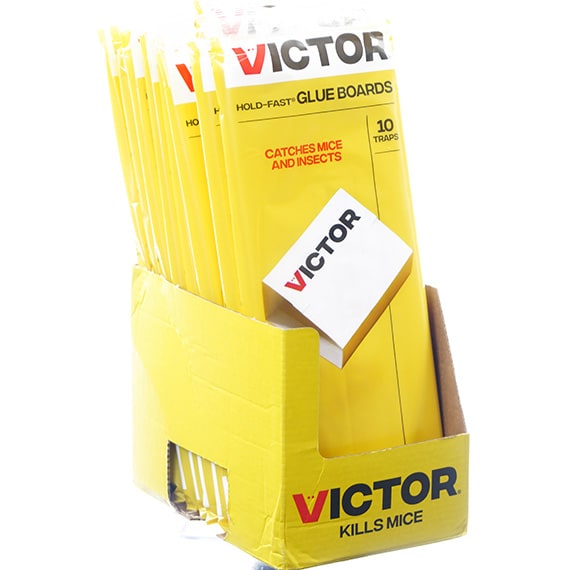 Hold-Fast Glue Boards, Catches Mice & Insects, 10Pk PDQ