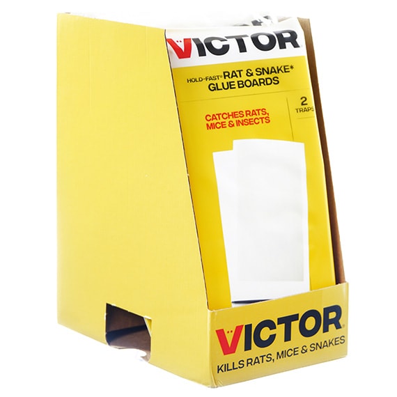 Hold Fast Rat/Mouse & Snake Glue Boards, 5x10.5 2PK-PDQ