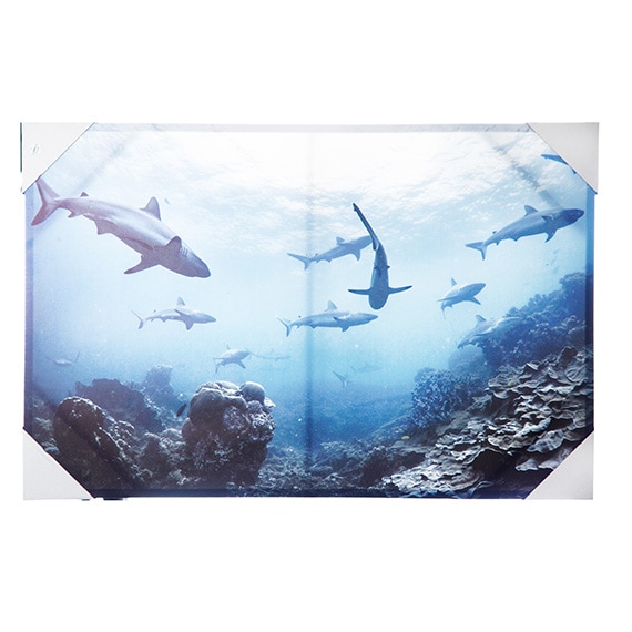 Wall Art Under The Sharks 24x36in
