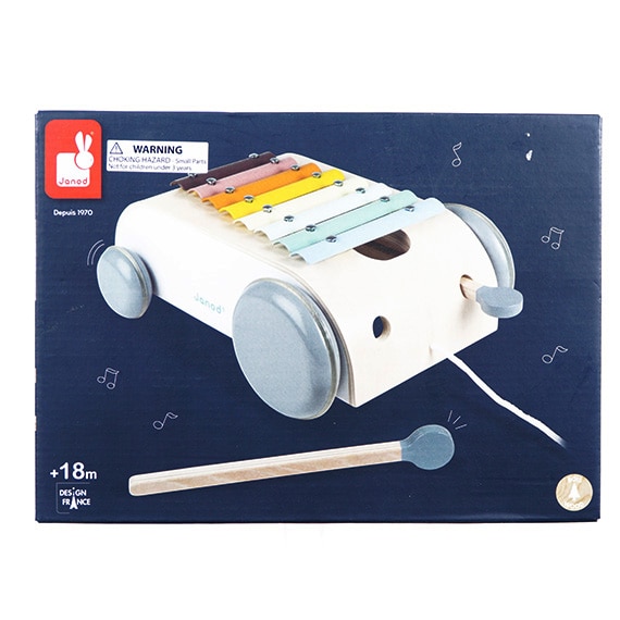 RSO Xylophone Roller Toy 18+ Months 9x12in