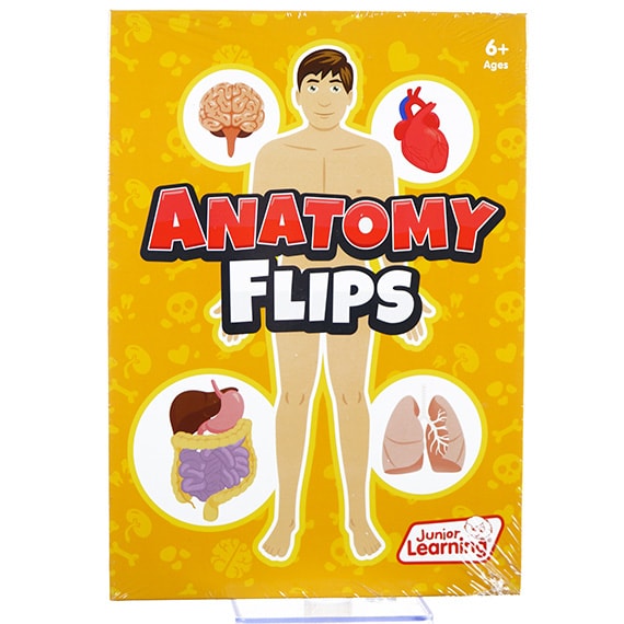 Anatomy Flips 6+ 11x8in