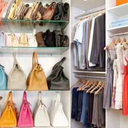 Apparel & Accessories