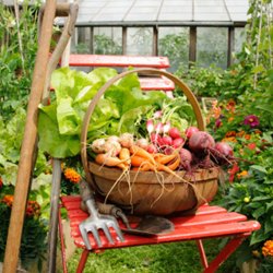 Lawn & Garden